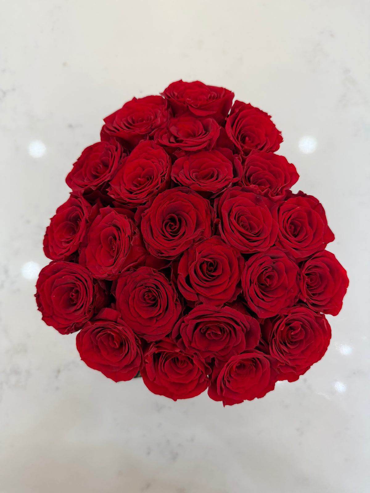 Lasting Red Love Blooms