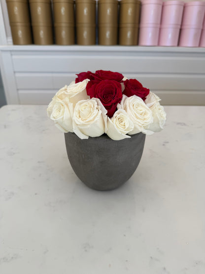 Potted Blooms