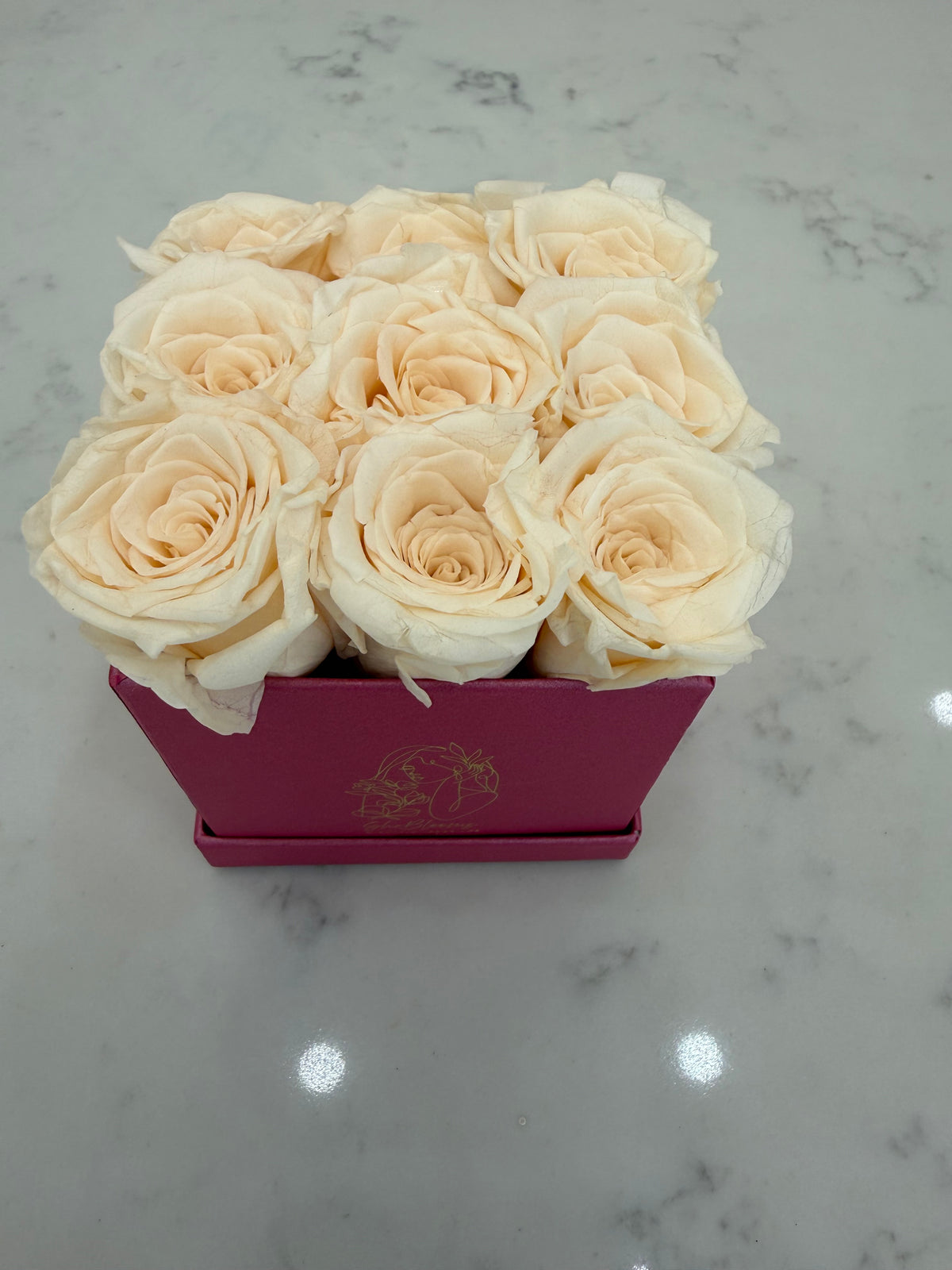 Lasting Pink Blooms