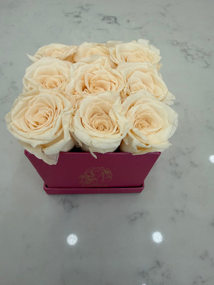 Lasting Pink Blooms