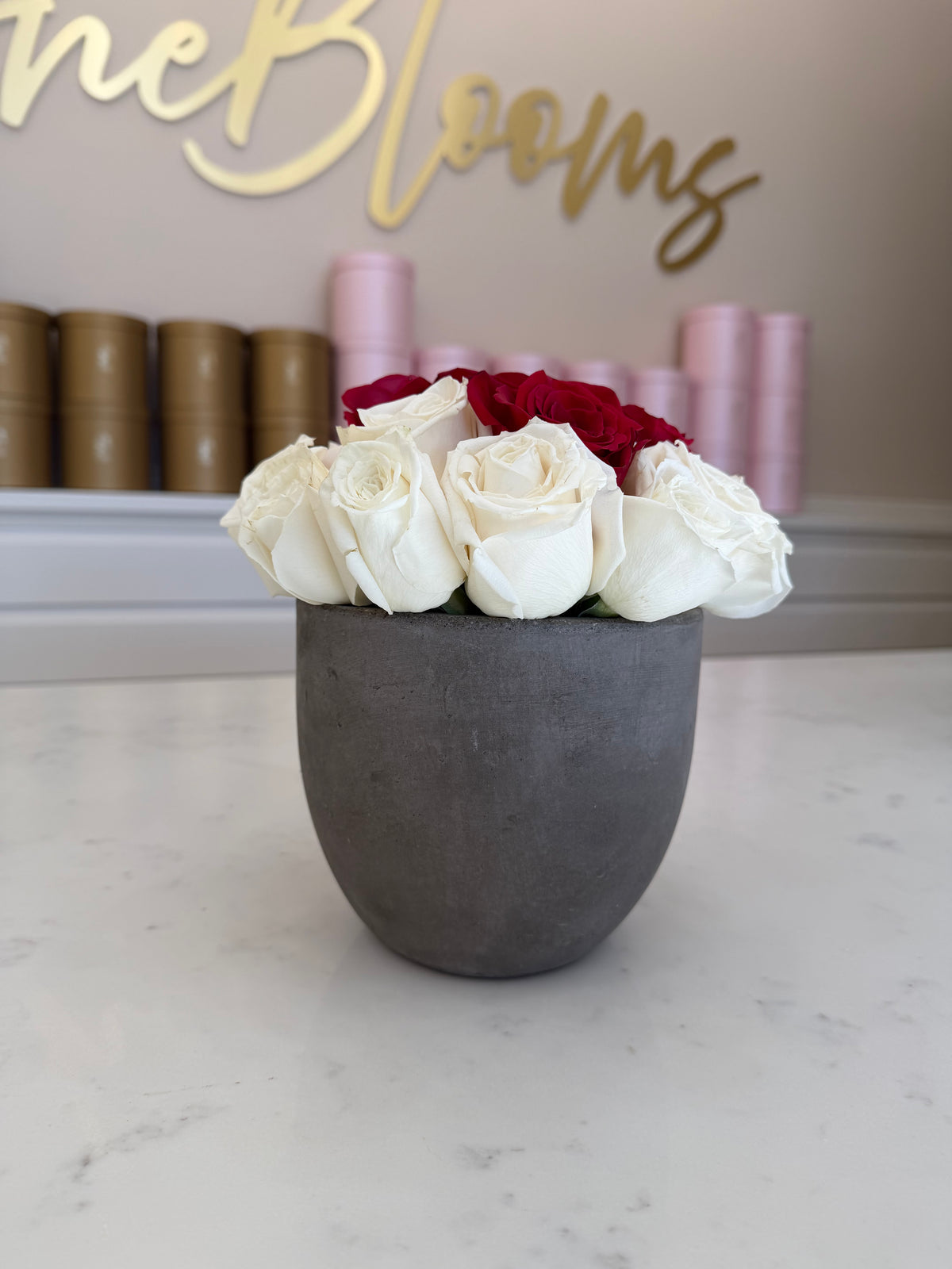 Potted Blooms