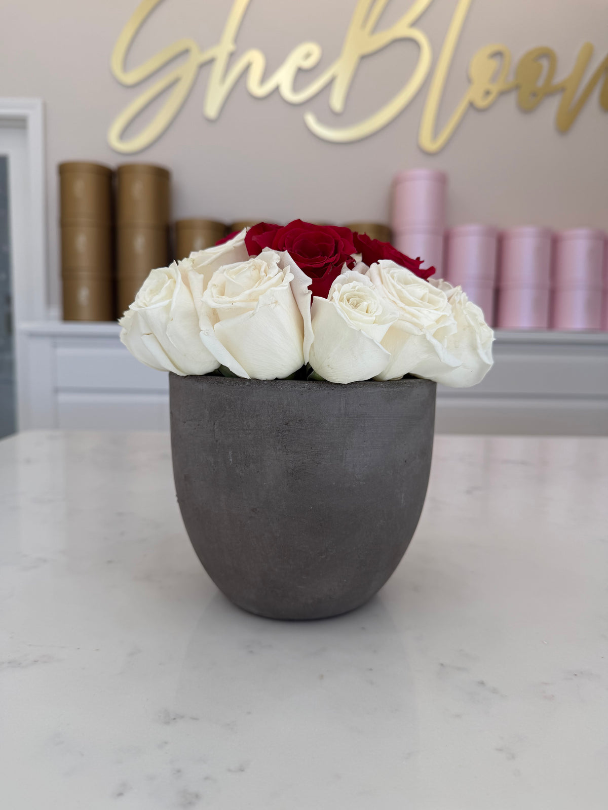 Potted Blooms