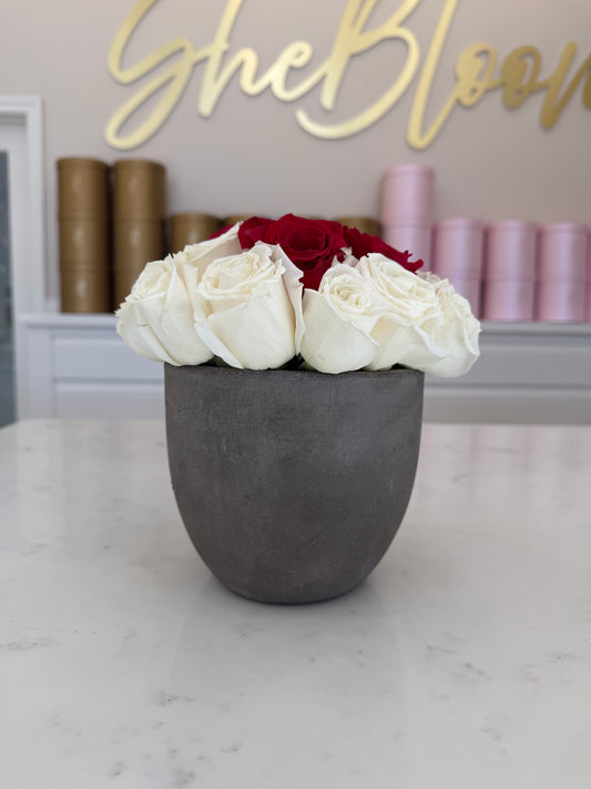 Potted Blooms