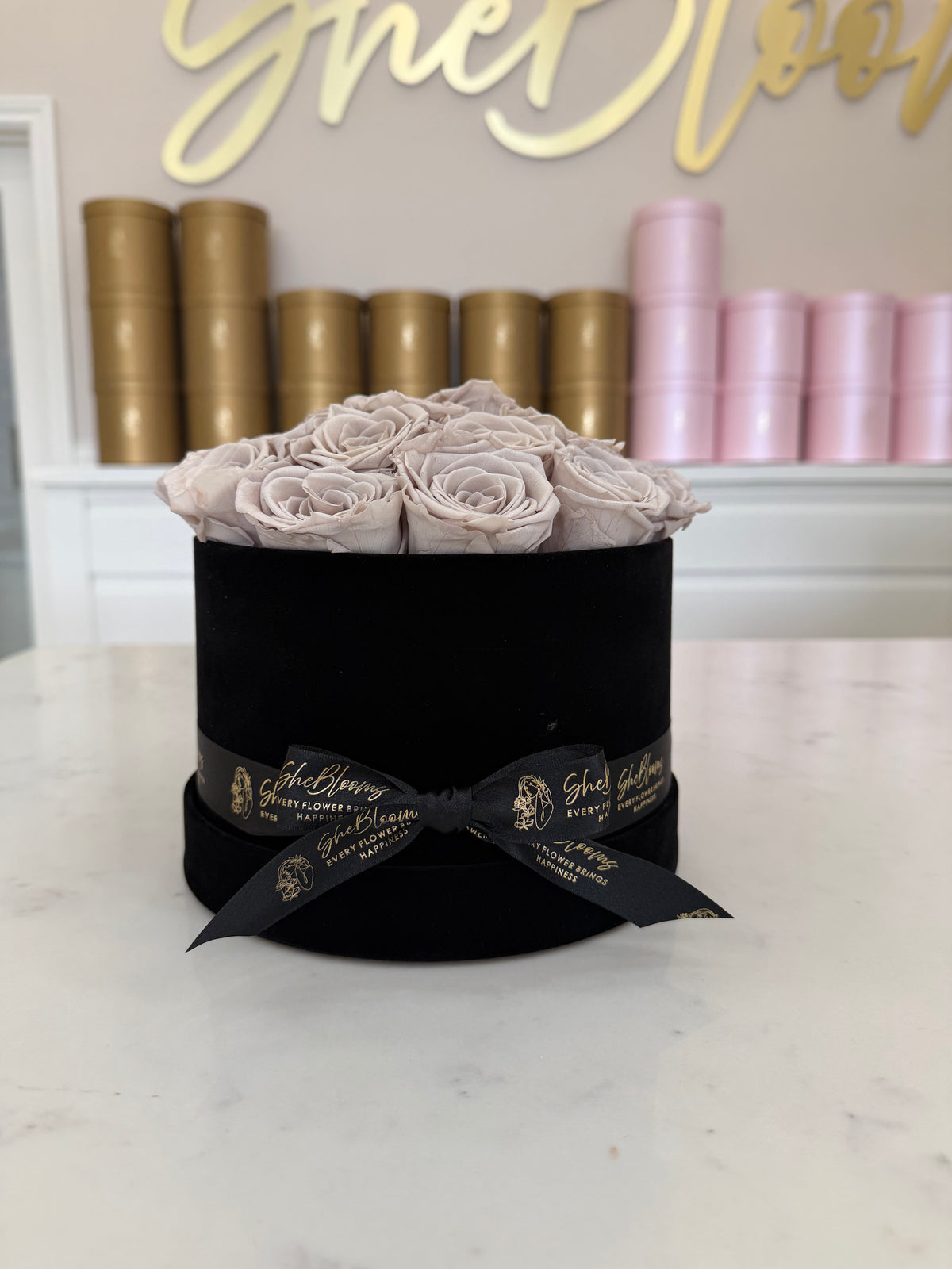 Lasting Calm Blooms