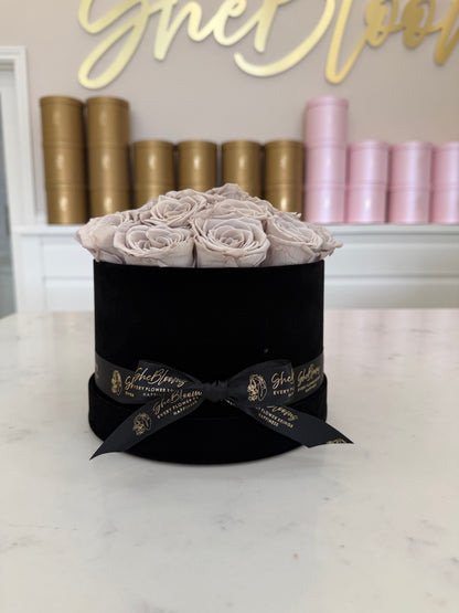 Lasting Calm Blooms