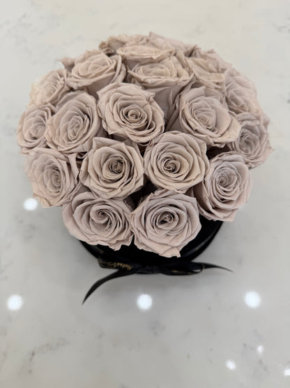 Lasting Calm Blooms